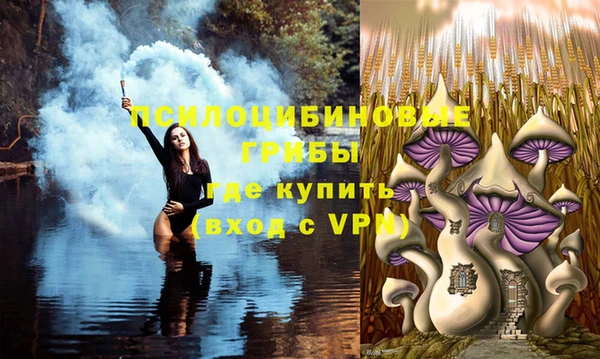 дурь Лиски