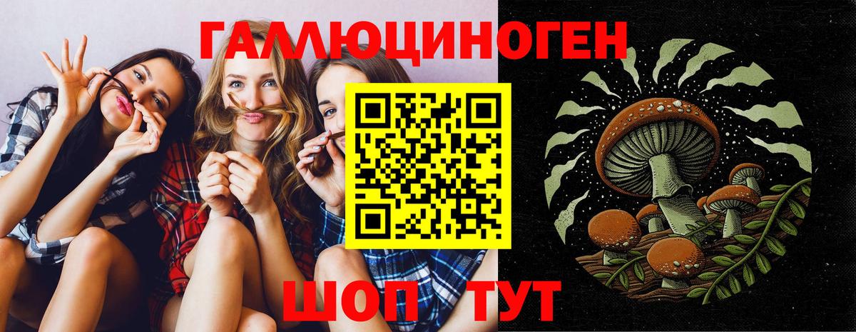 Галлюциногенные грибы Cubensis Волгодонск