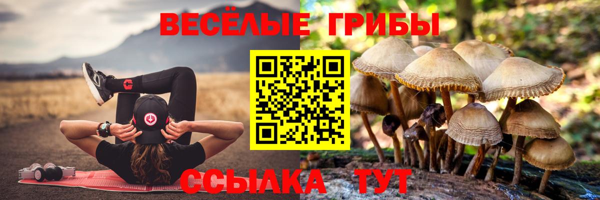 Волгодонск  Псилоцибиновые грибы мицелий  Вход с VPN  Галлюциногенные грибы прущие грибы 